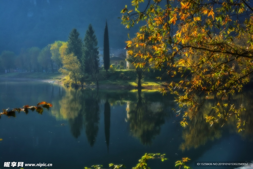 河流树林倒影风景河水