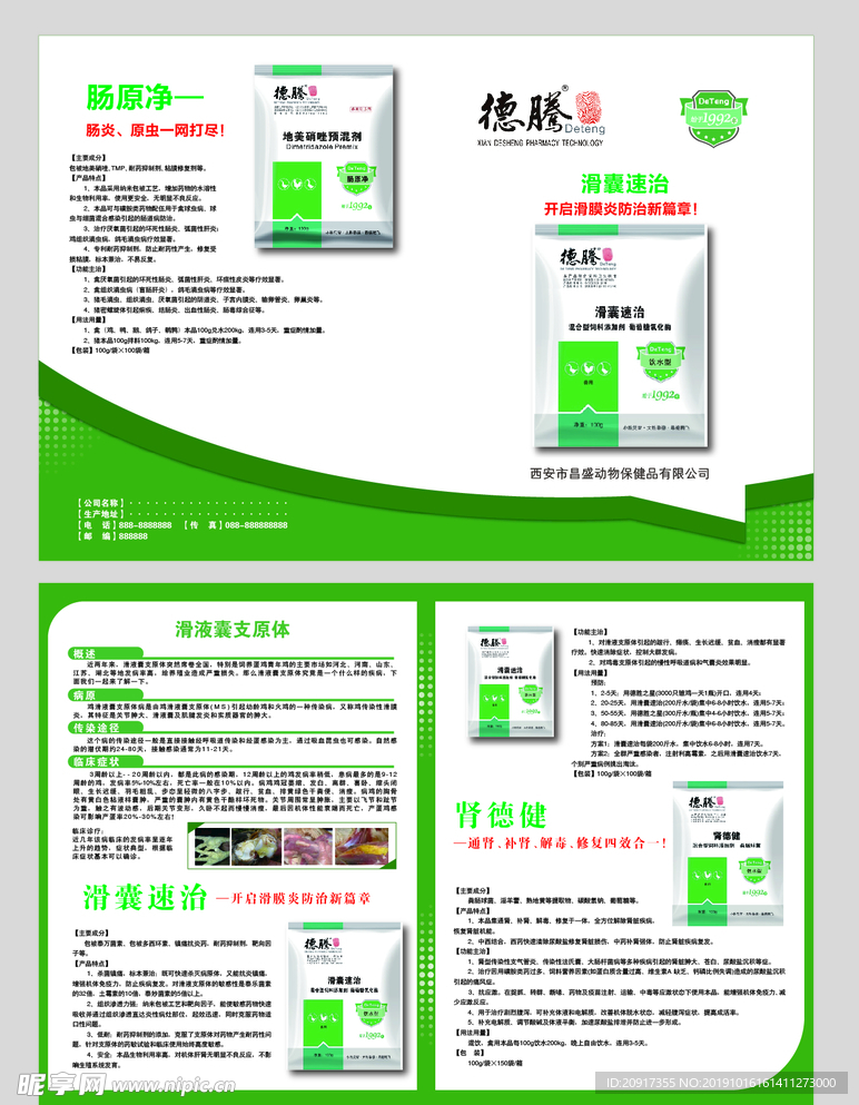 禽类药宣传单 药品宣传单 折页