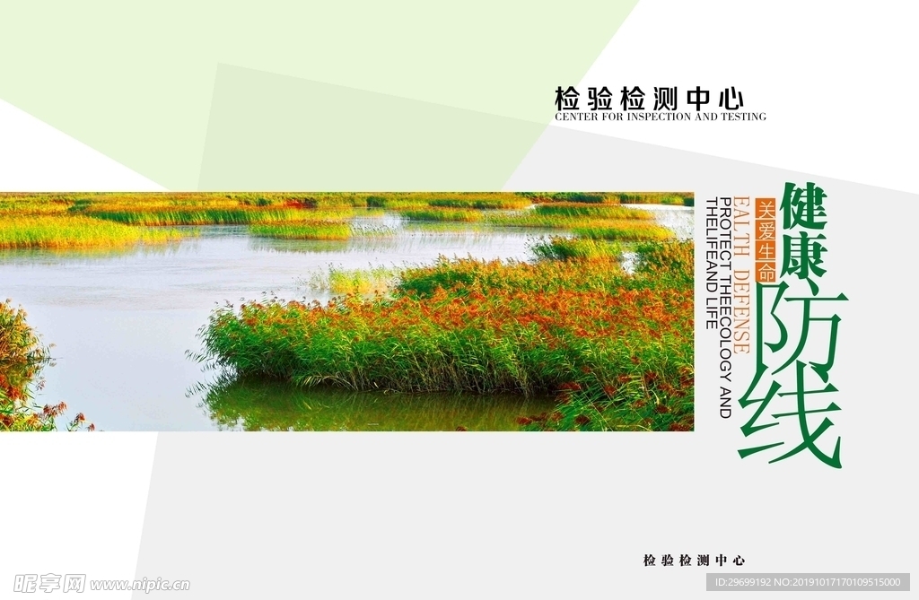 健康 红海滩 绿色 皮 大气