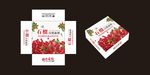 石榴包装箱平面展开图