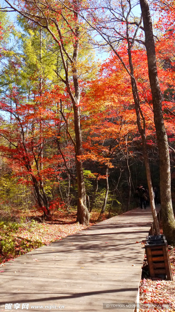 关门山   秋天景色  秋天