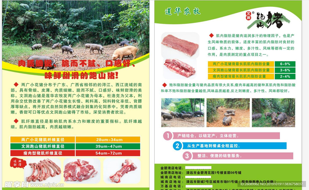 跑山猪宣传单