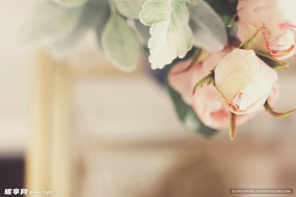 复古泛黄的鲜花