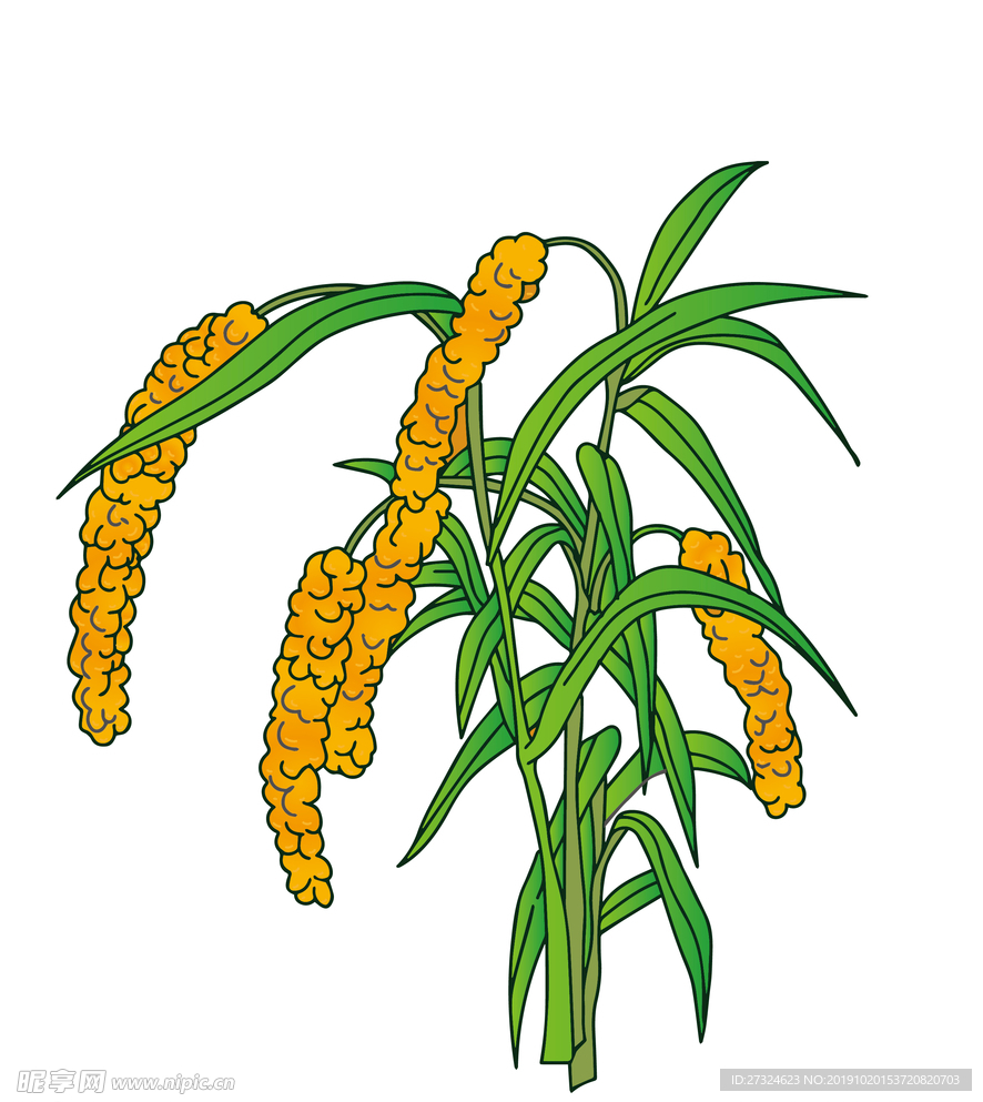 手绘插画植物高粱