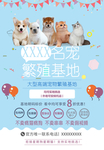 宠物海报