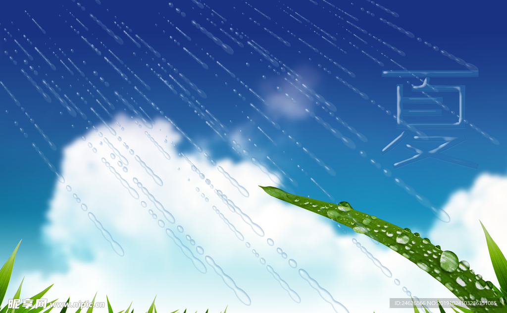 夏季绿叶下雨水滴