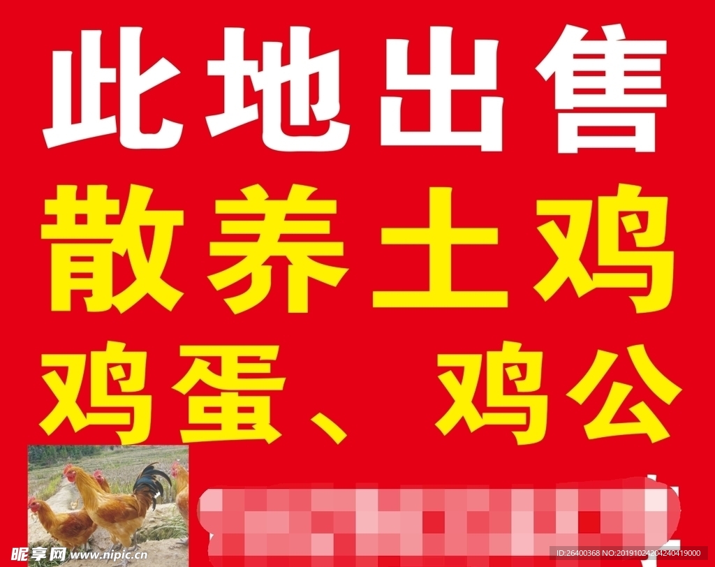 绿色食品 土鸡蛋喷绘