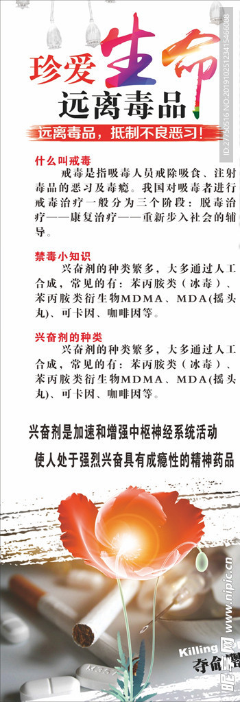 626 国际禁毒日 禁毒日展板