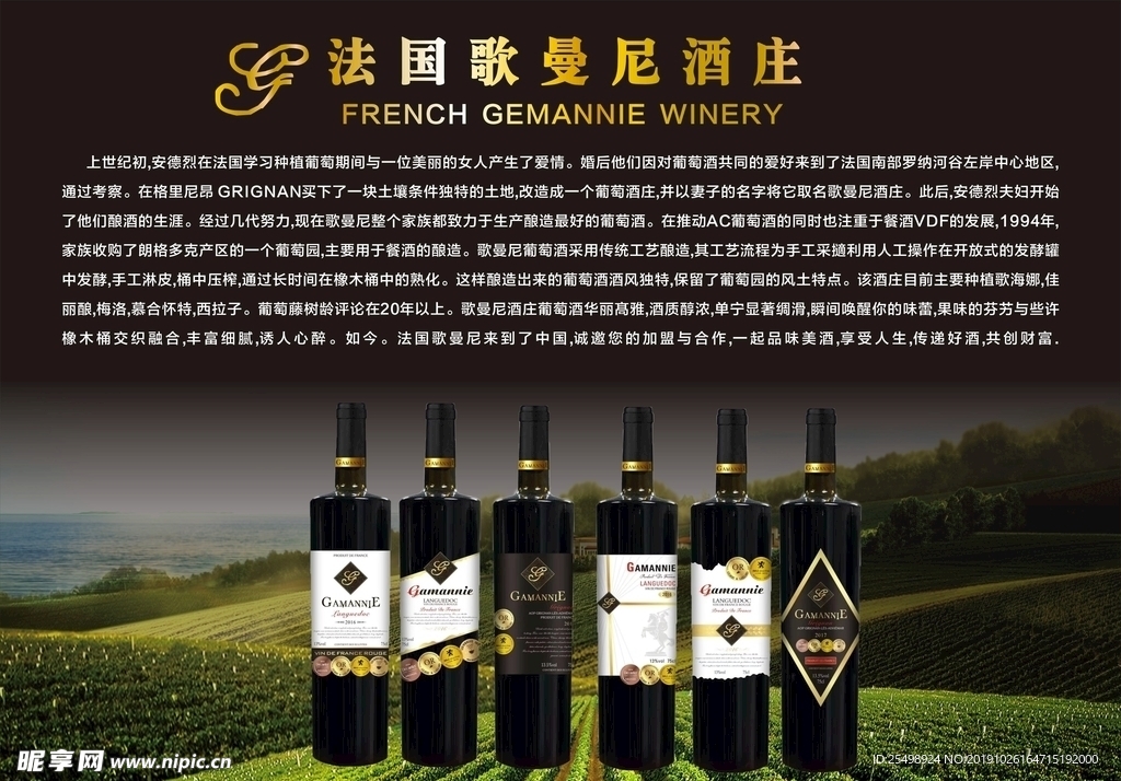 红酒 背景墙 法国