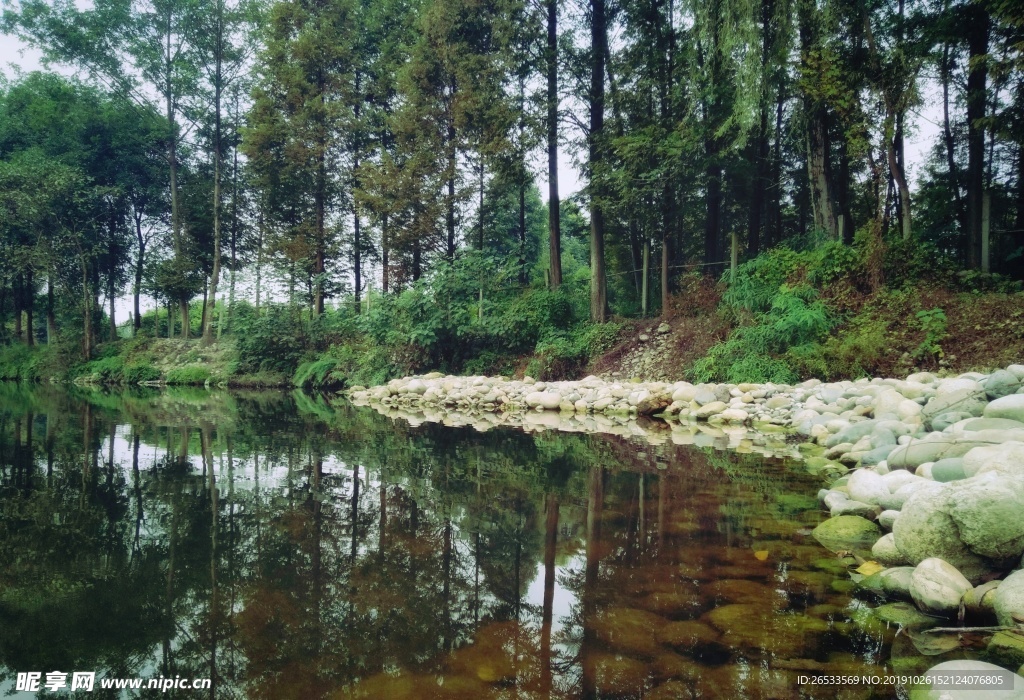 河边 自然 河流 树木 倒影