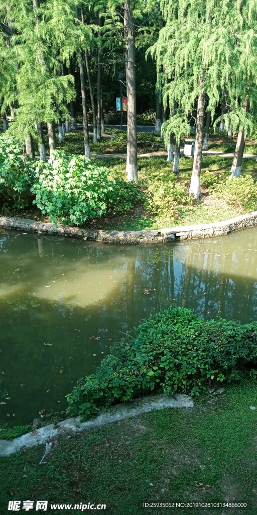 公园绿树 池塘 水渠