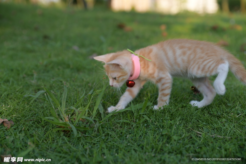 和大然的亲切接触