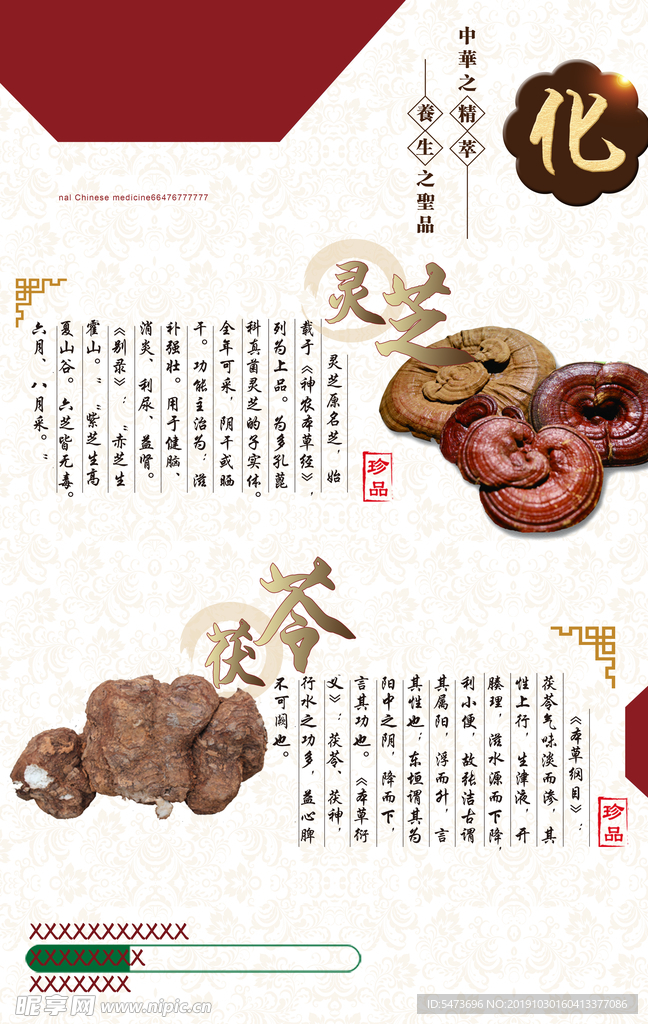 名贵中药灵芝茯苓