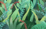 手绘风绿植插画