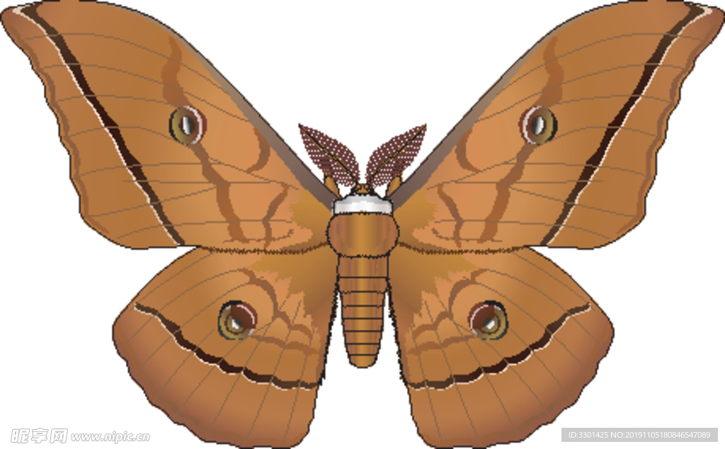 昆虫系列 黄色蝴蝶