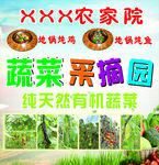蔬菜采摘园农家院