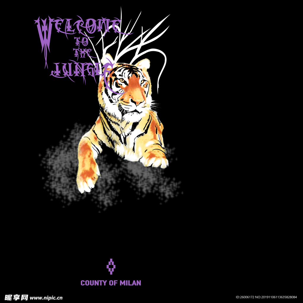 数码印花 大牌 佩斯利  复古