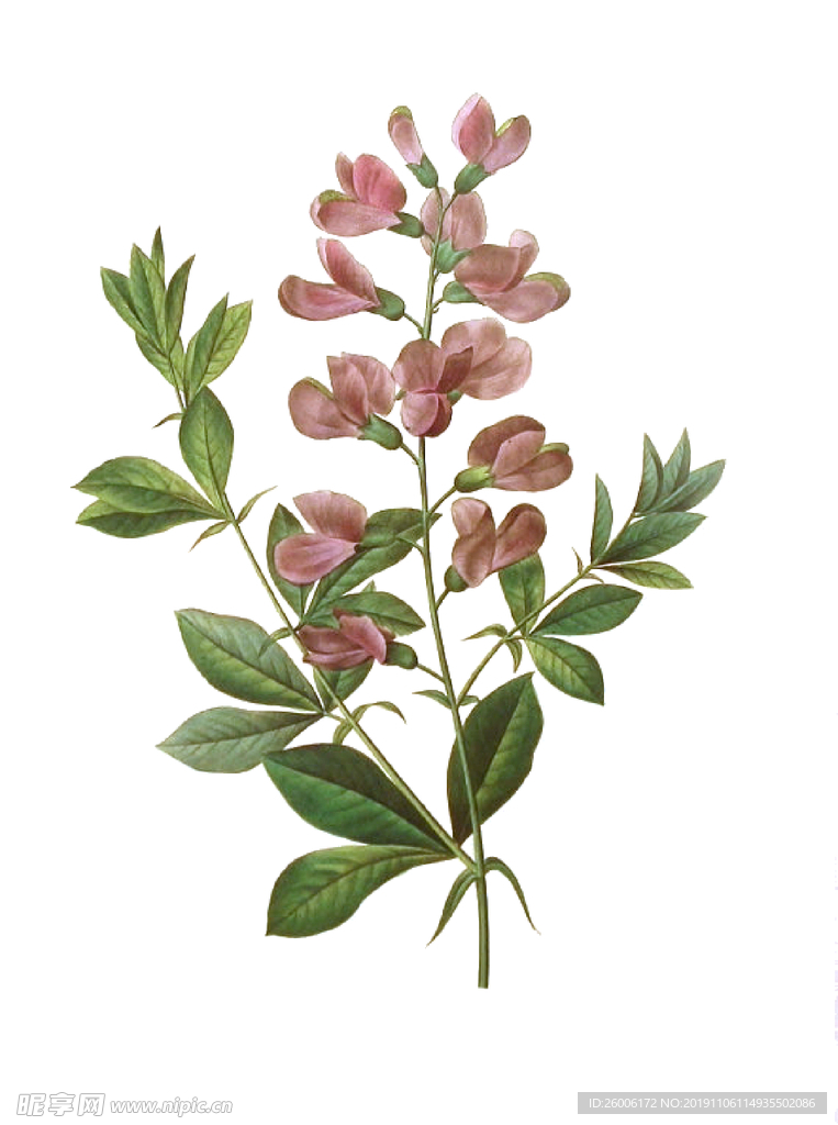 数码印花 大牌 佩斯利