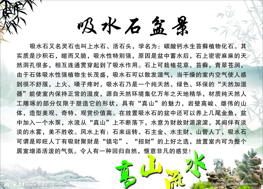 吸水石盆景展板