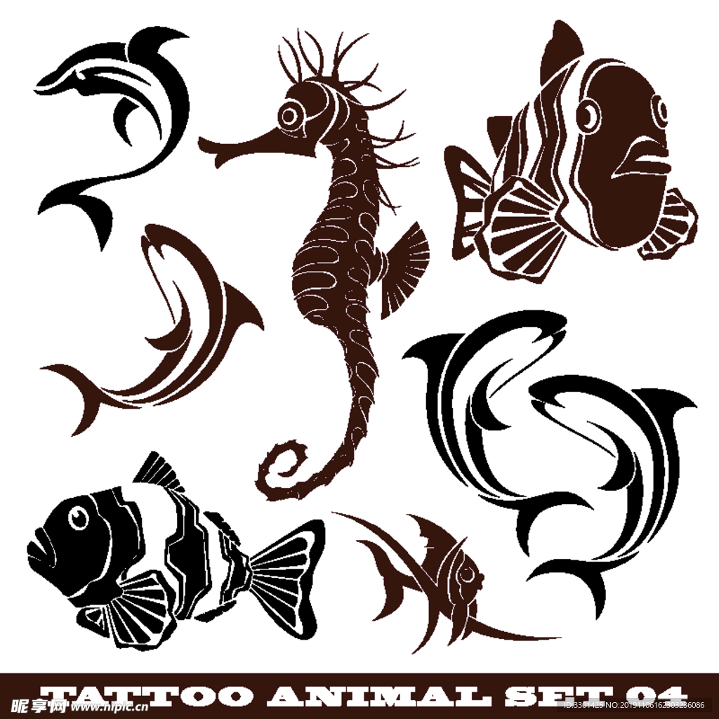 鱼类生物系列 海鱼