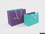 纸袋子效果图