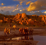 拜城魔鬼城风光