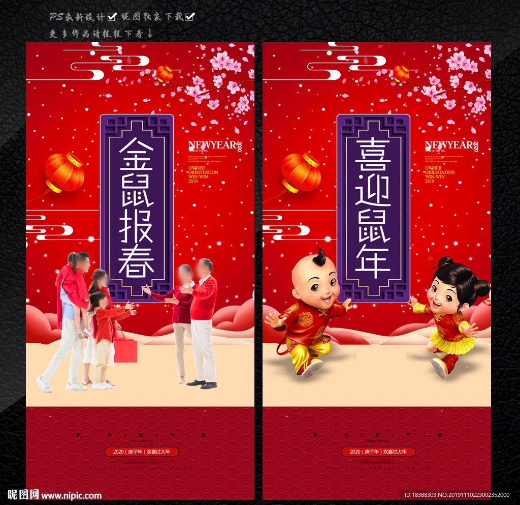 金鼠报春 福鼠报春