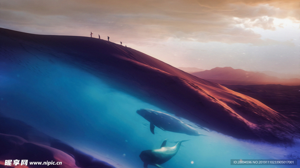 沙漠下的海豚