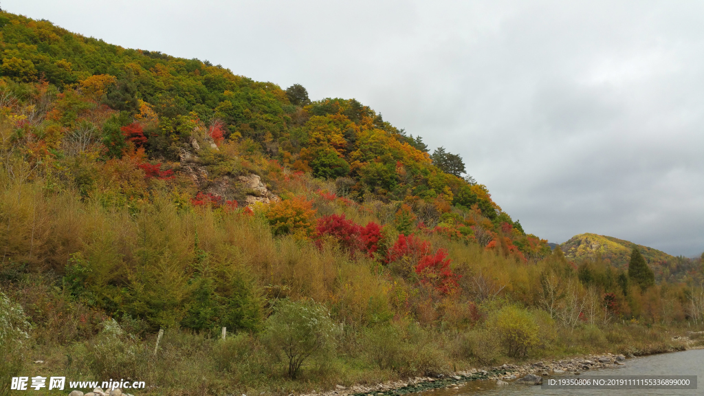 秋天山里彩色的树叶