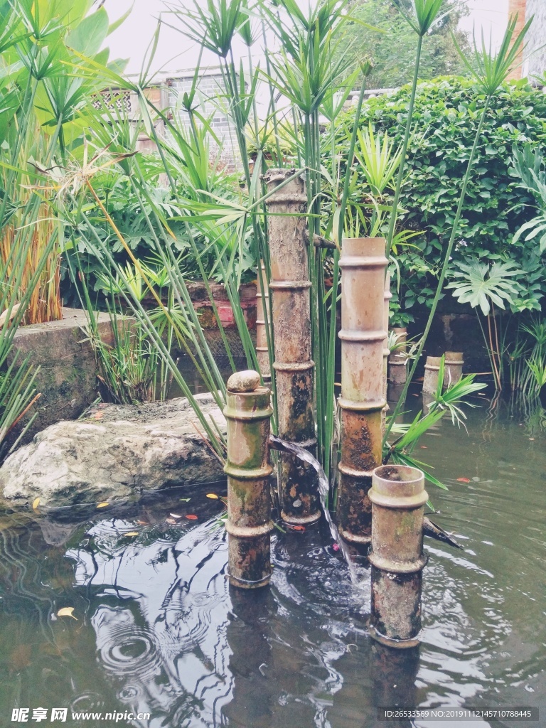 风车草 竹节 河水 黄龙溪古镇