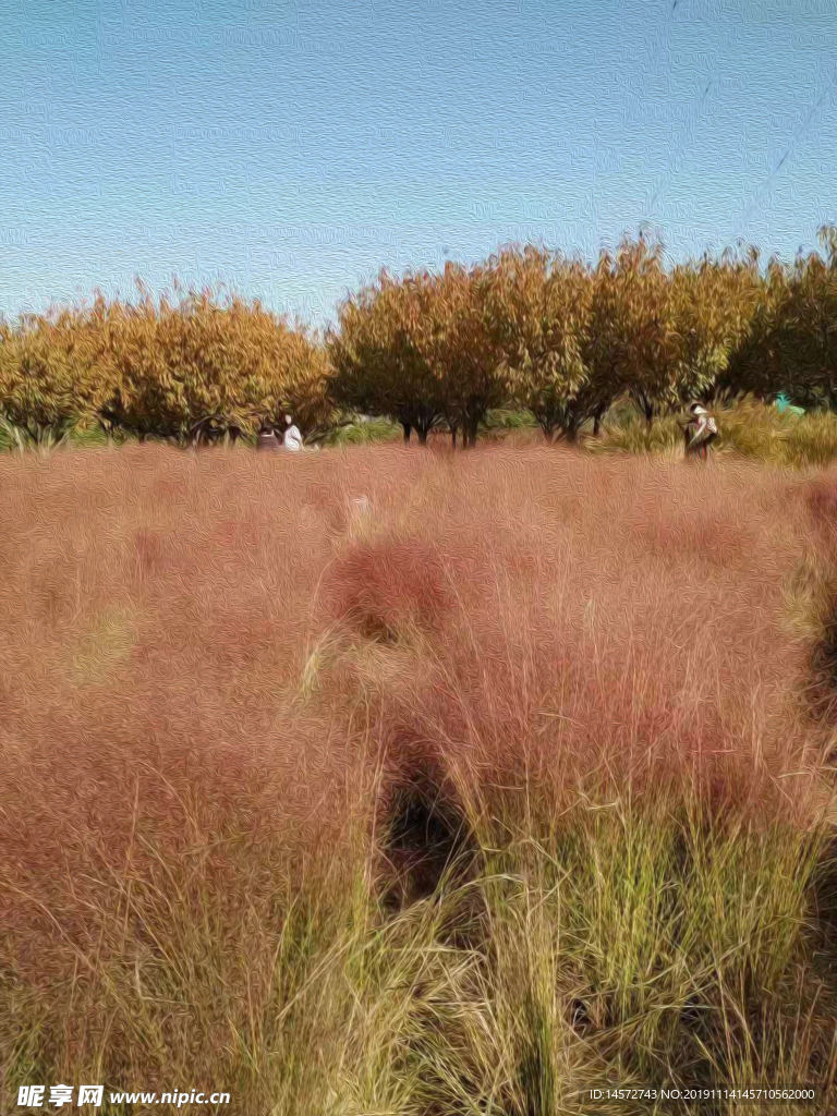 公园风景摄影图