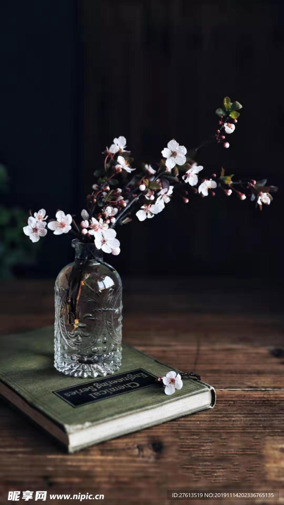 美丽的插花图片