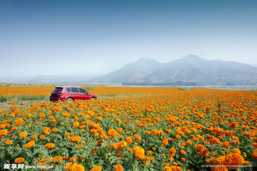 哈弗H6 哈弗 汽车 车 长城