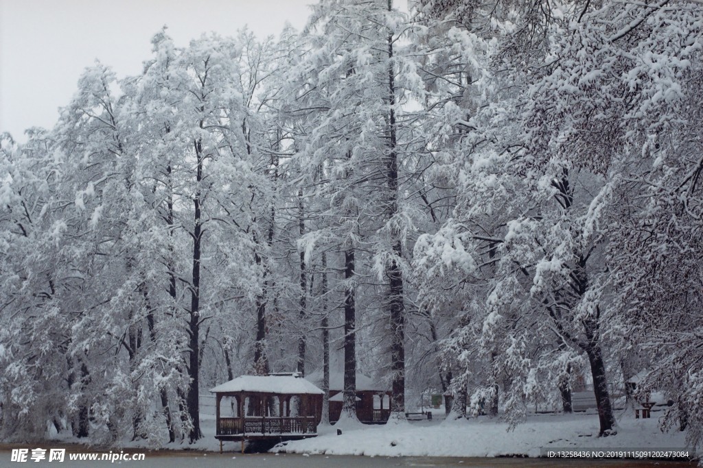 大雪森林木屋河流冬天