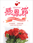 感恩节 大回馈 玫瑰花束 海报