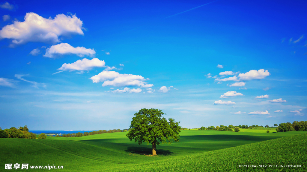 大气唯美平原背景