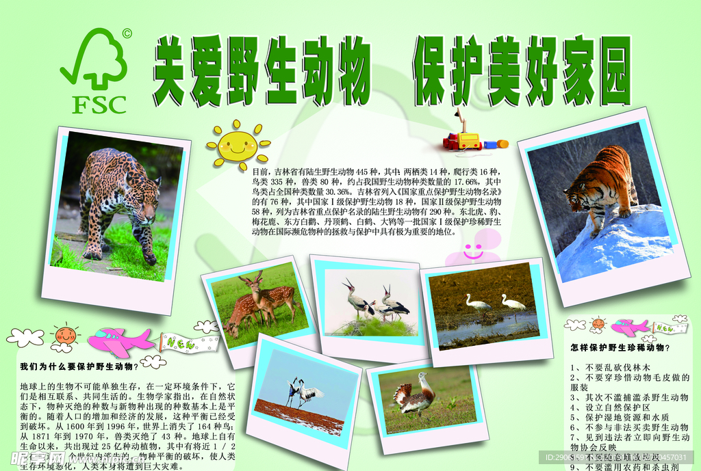 关爱野生动物 保护美好家园
