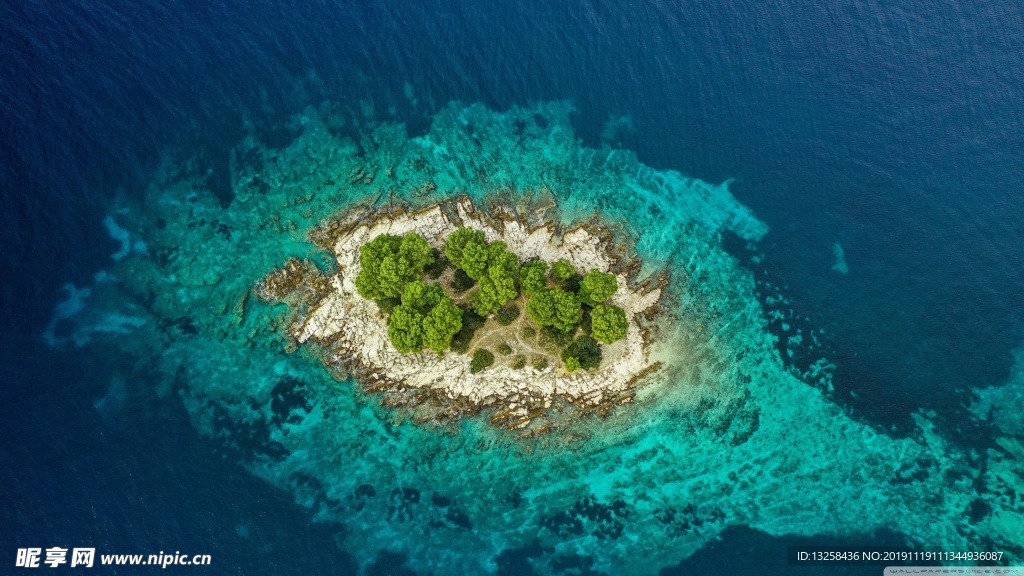 大海小岛海水树木植物