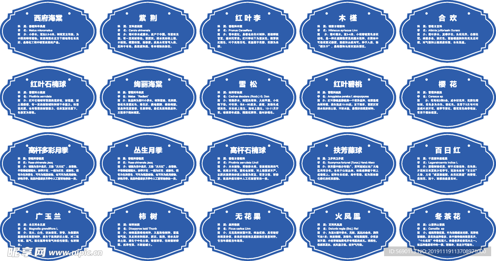 树木简介树牌吊牌