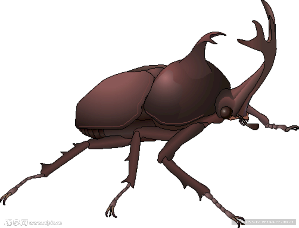 昆虫系列 独角仙褐色