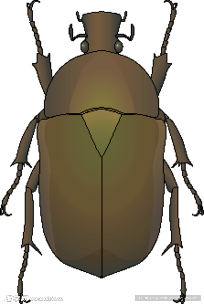 昆虫系列甲虫