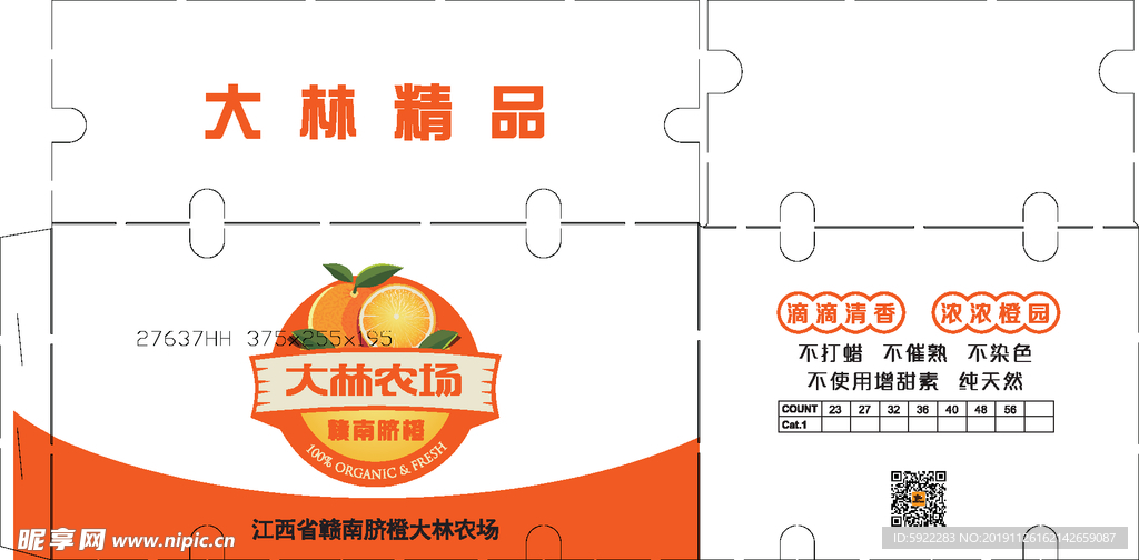 橙子包装 橙子礼盒 橙子 橘子