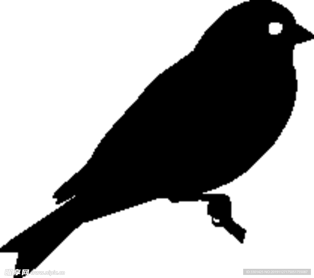 野生动物系列 鸟剪影