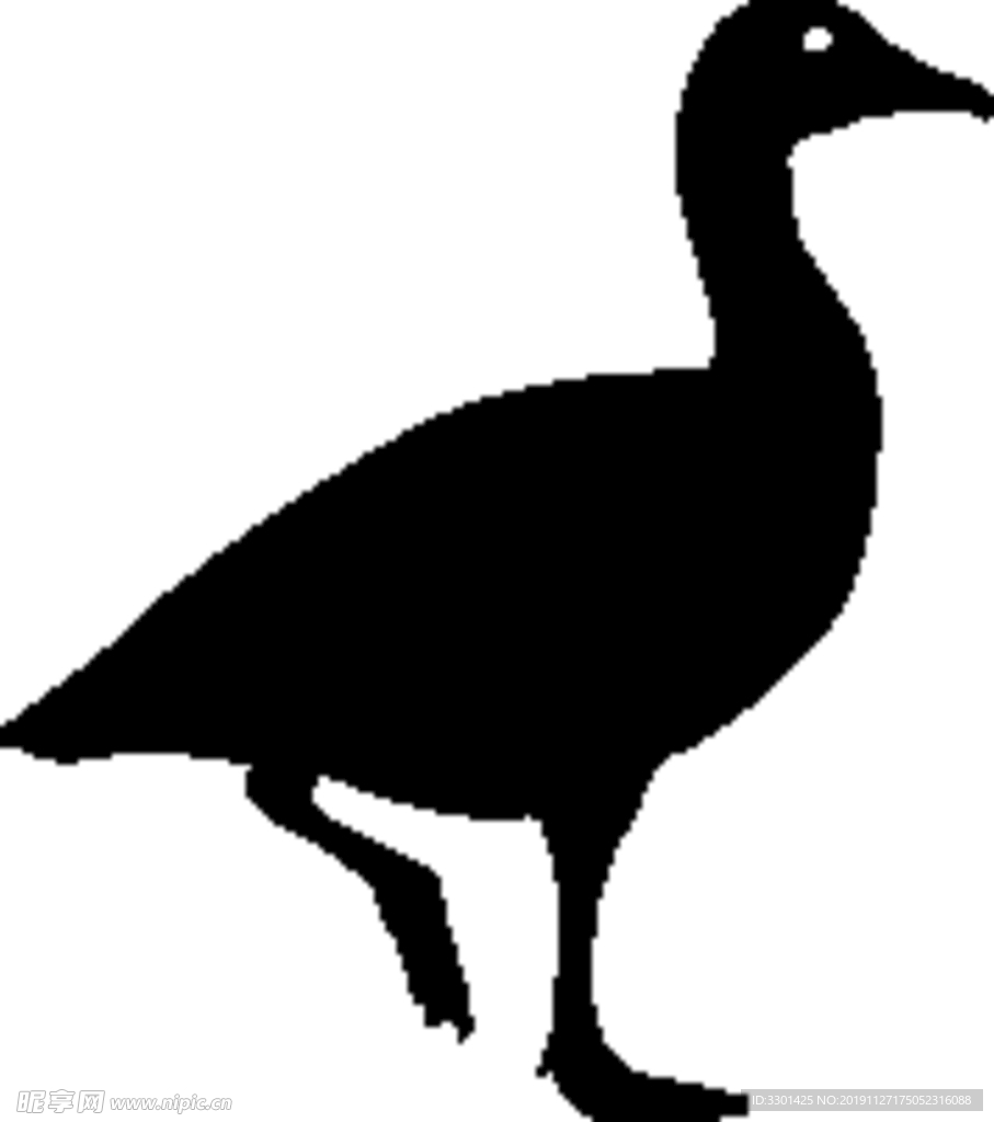 野生动物系列 鸟剪影