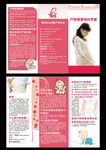 孕产妇三折页