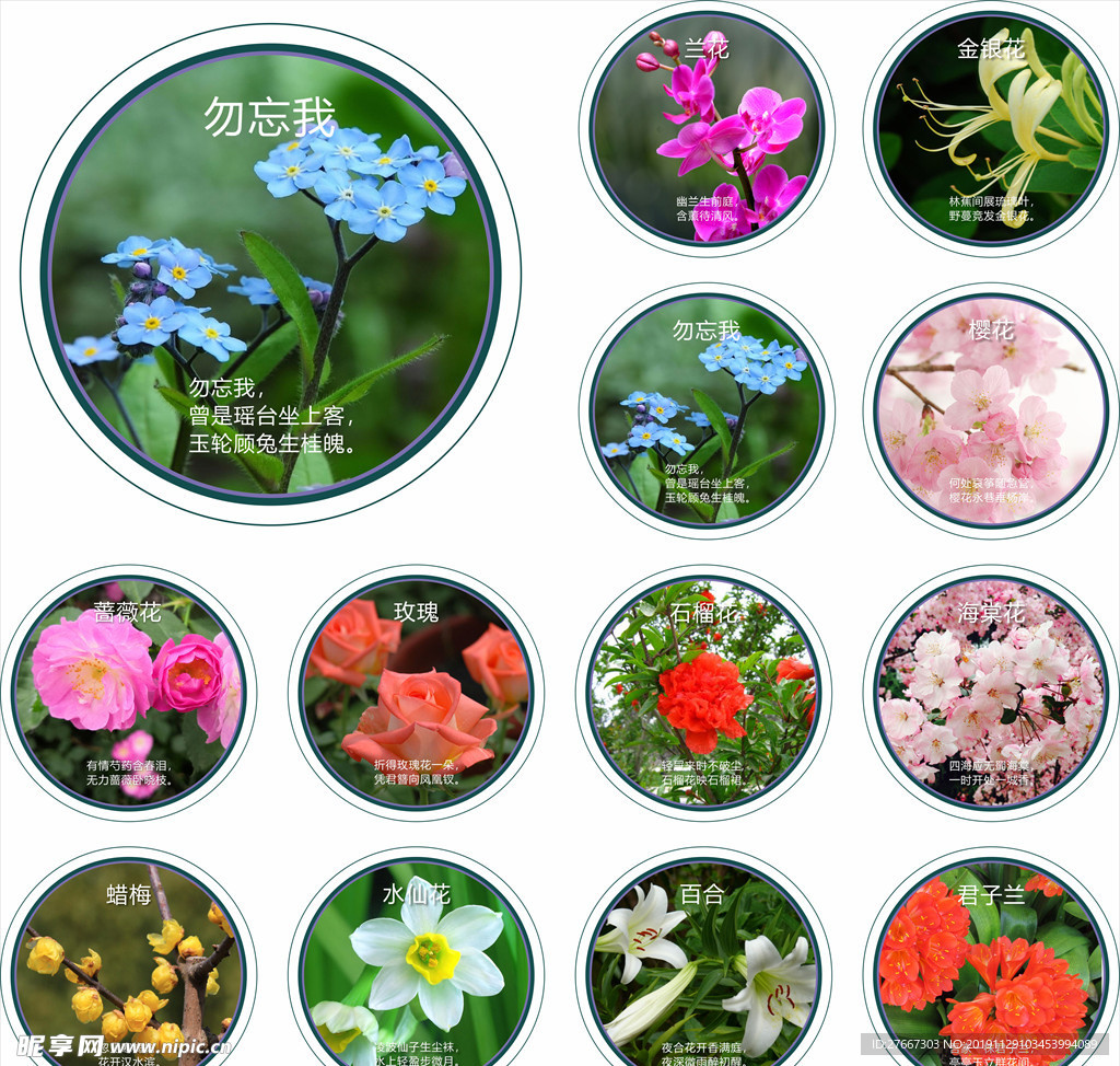 观赏花卉搭配相关的古诗词