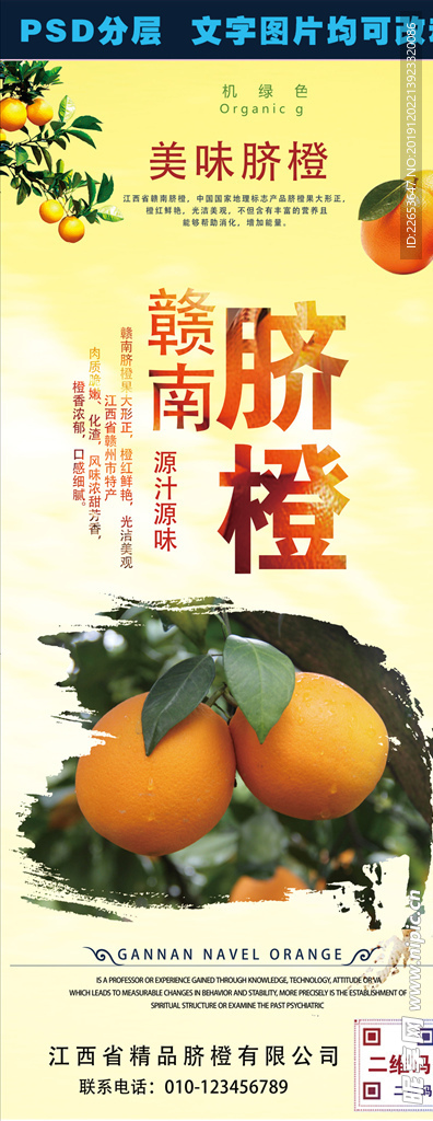 赣南脐橙易拉宝