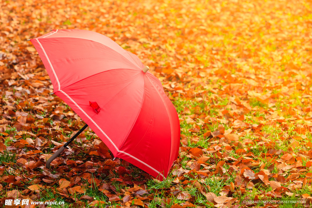 树叶满铺的草地上的小红伞