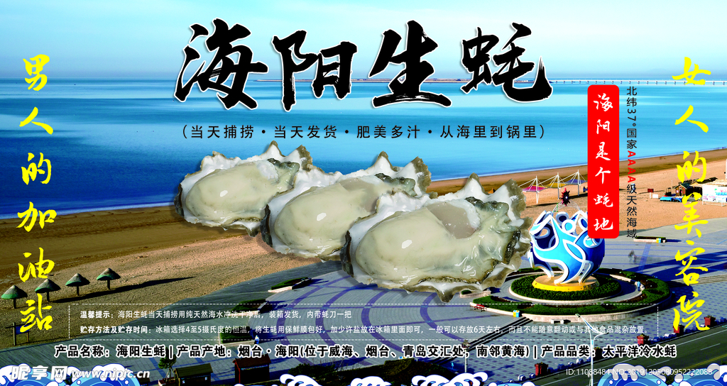 海阳生蚝牡蛎海蛎子