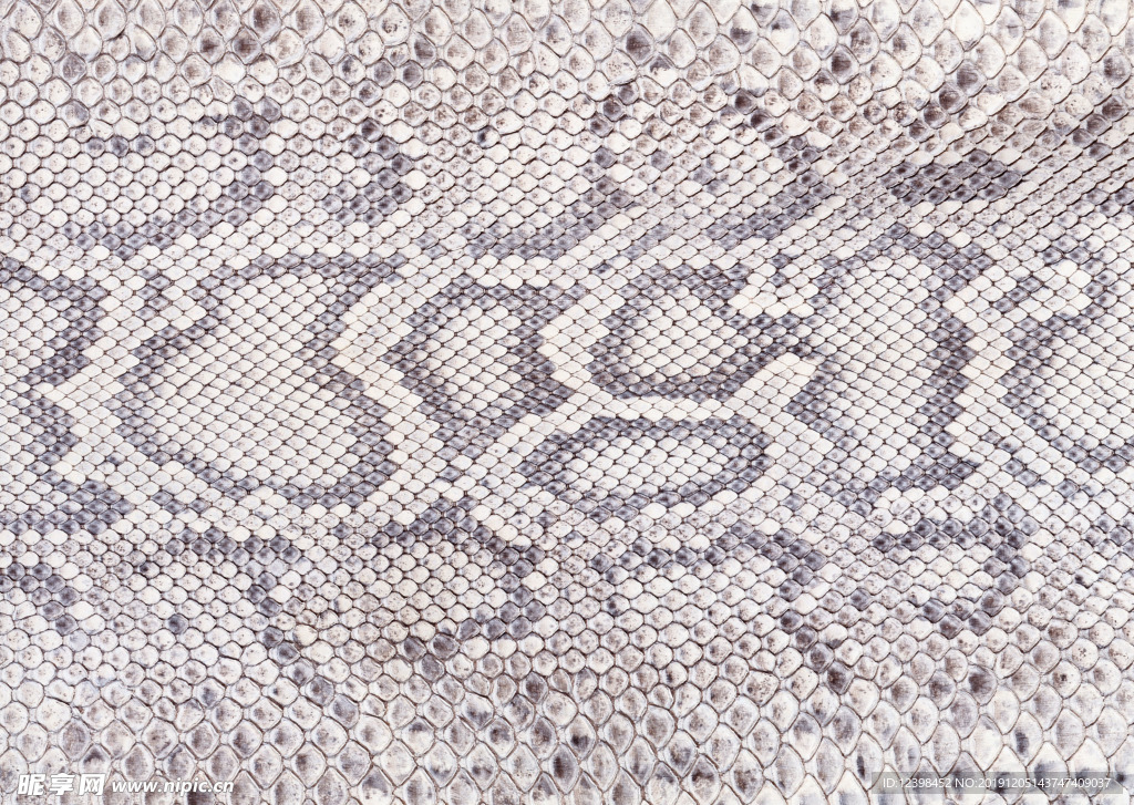 蛇皮皮革